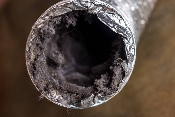 Best Air Vent Cleaning Services  in Northampton, MA