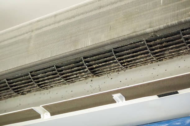 Best HVAC Duct Inspection Services  in Northampton, MA