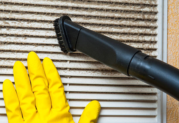 Best Affordable Duct Cleaning Services  in Northampton, MA