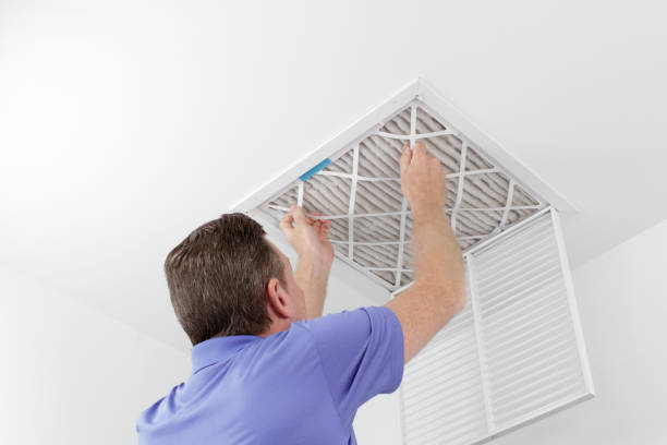 Best Air Duct Sanitizing Services  in Northampton, MA